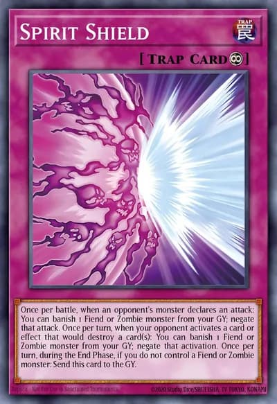 Spirit Shield